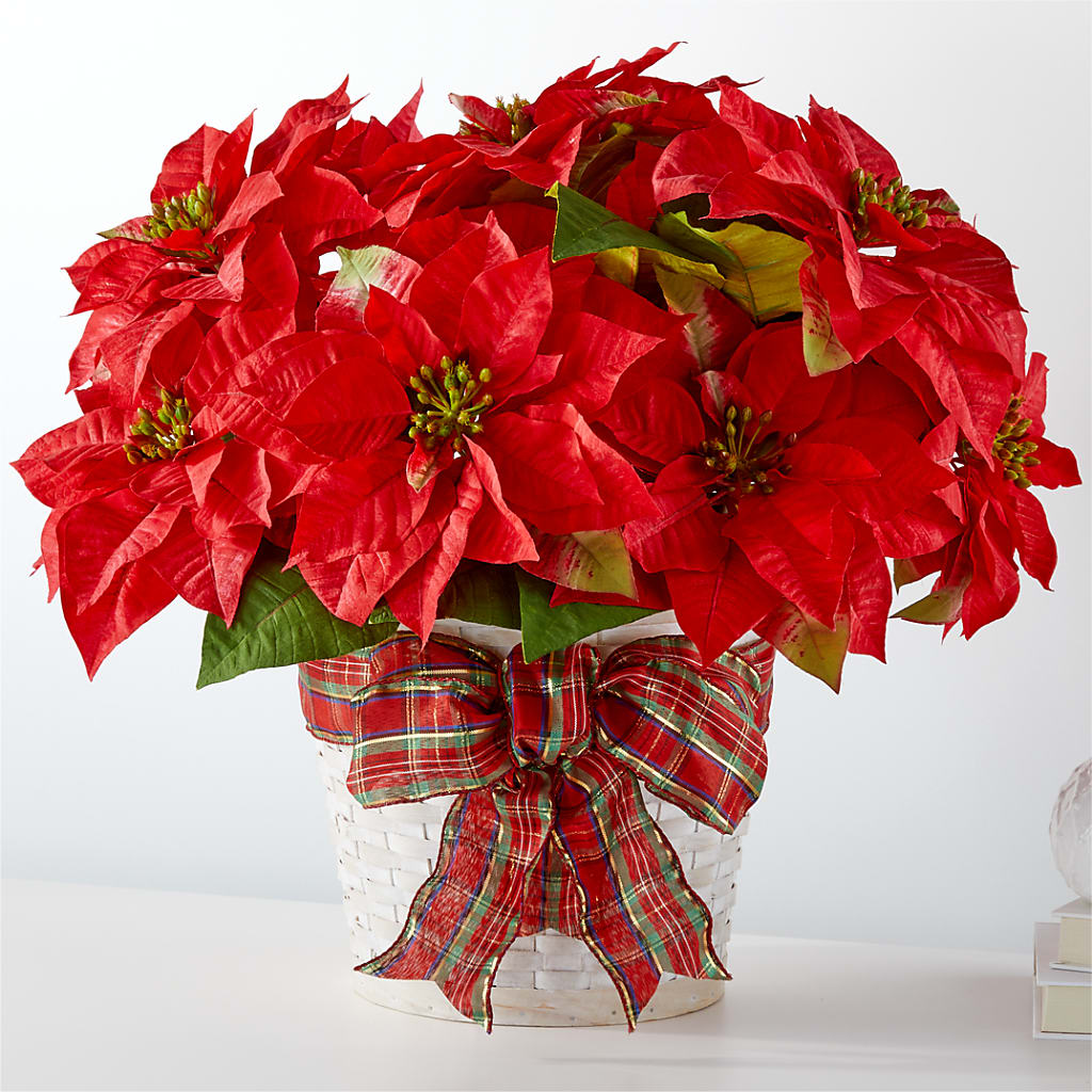 Happiest Holidays Poinsettia – BEBE'S FLOWER SHOP, Los Angeles CA