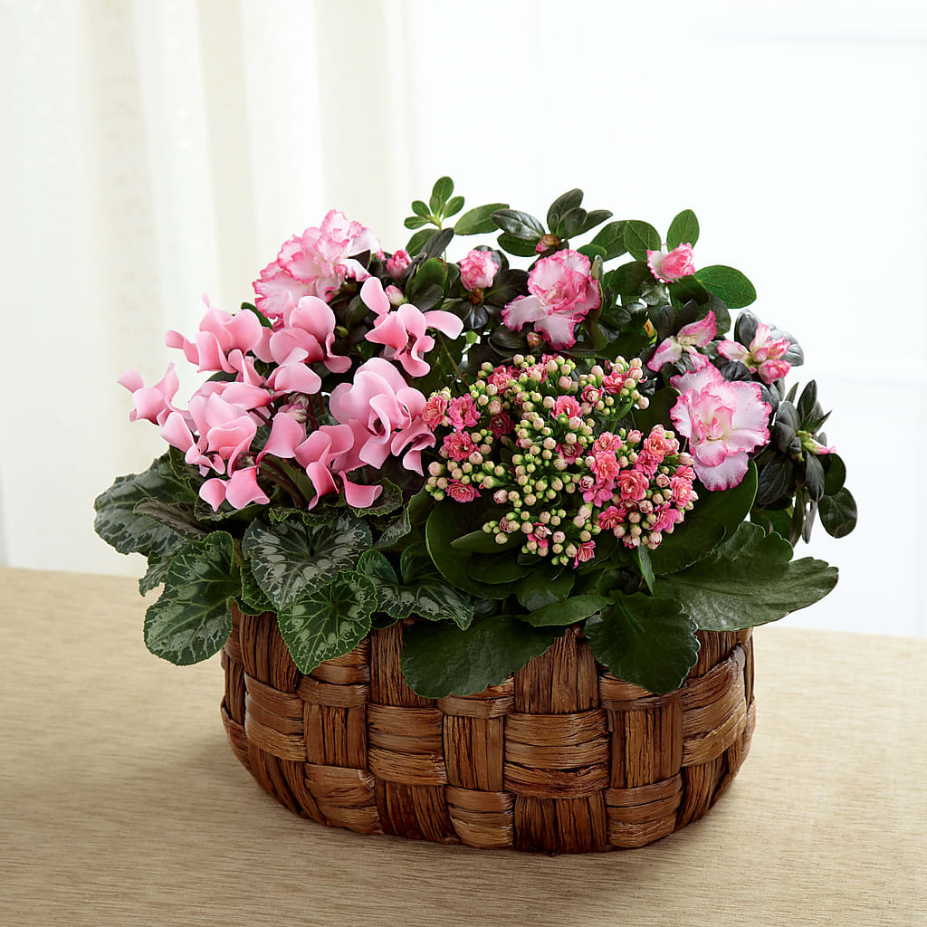 Pink Assortment – BEBE'S FLOWER SHOP, Los Angeles CA