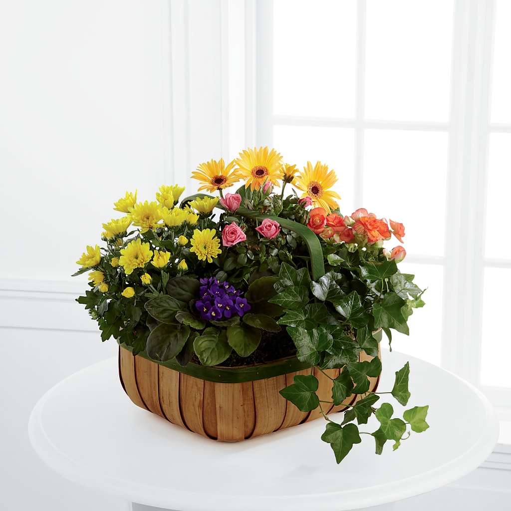 Gentle Blossoms Basket – BEBE'S FLOWER SHOP, Los Angeles CA