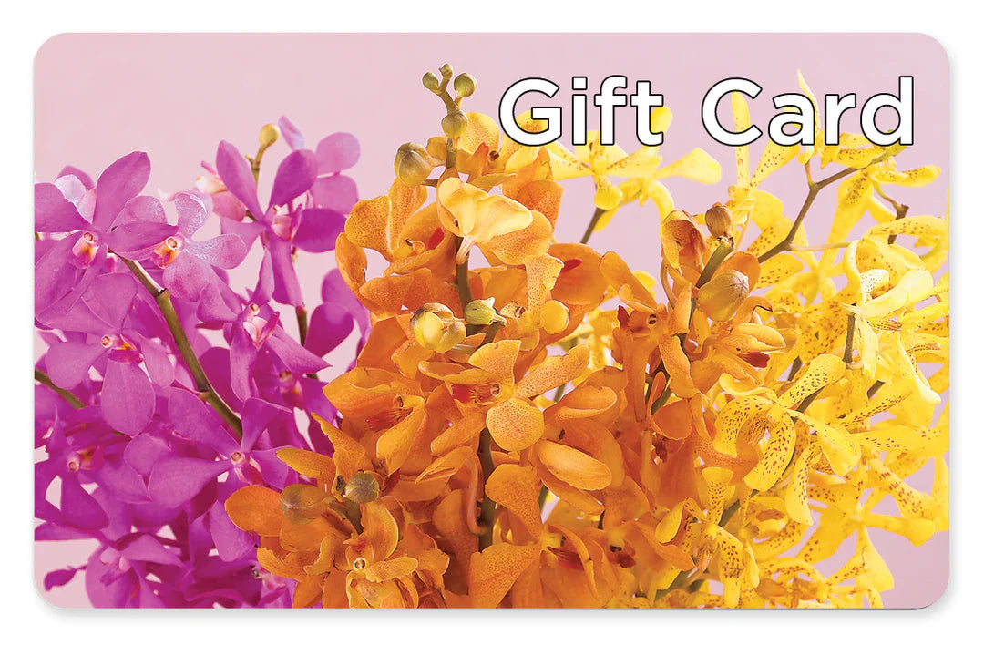 Gift Card – BEBE'S FLOWER SHOP, Los Angeles CA