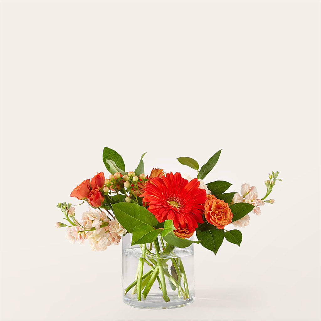 Paloma Please Bouquet – BEBE'S FLOWER SHOP, Los Angeles CA