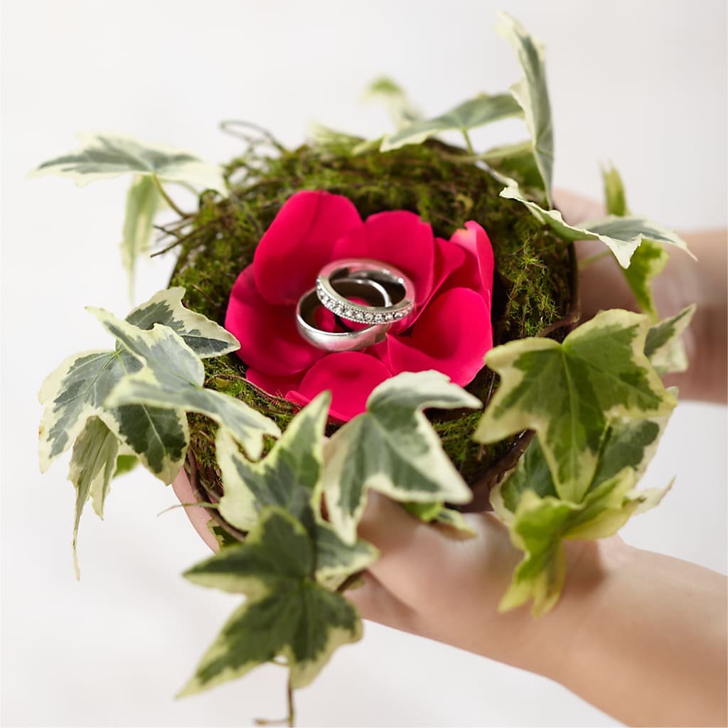 Lila Rose Ring Nest – BEBE'S FLOWER SHOP, Los Angeles CA