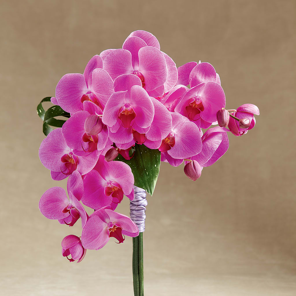 Glorious Bouquet – BEBE'S FLOWER SHOP, Los Angeles CA