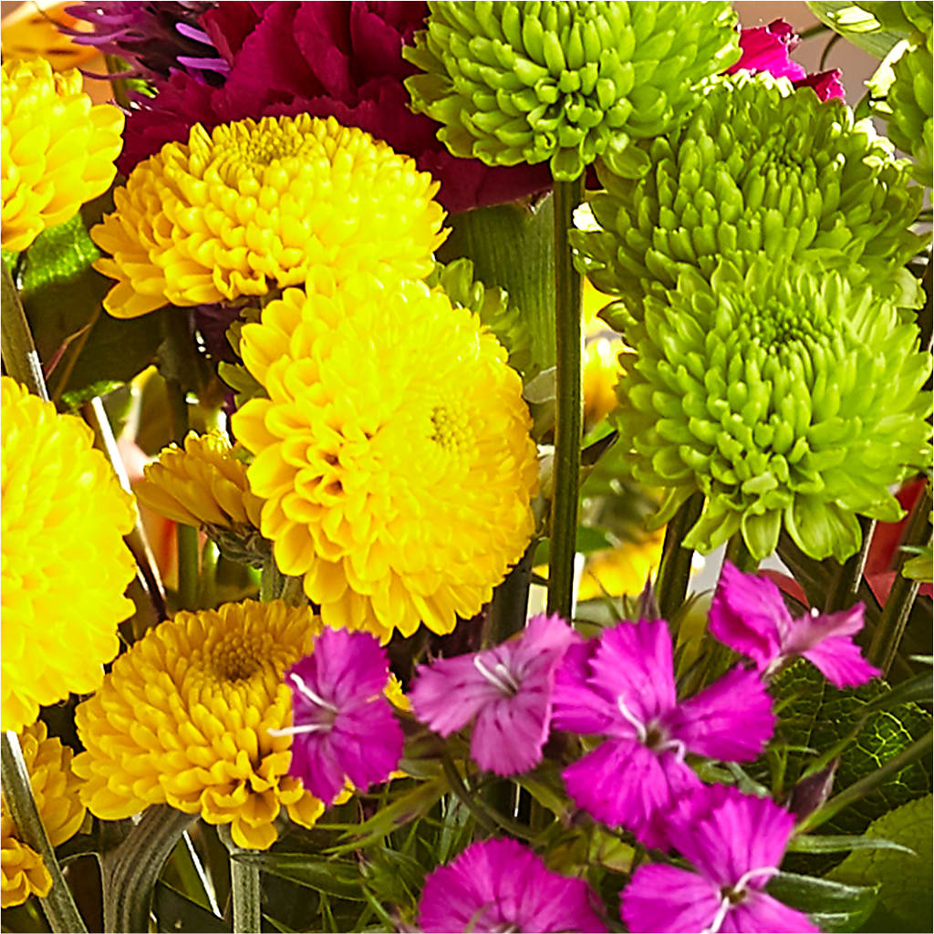 Bold & Bright – A Florist Original – BEBE'S FLOWER SHOP, Los Angeles CA
