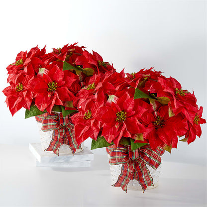 Happiest Holidays Poinsettia Bundle – BEBE'S FLOWER SHOP, Los Angeles CA