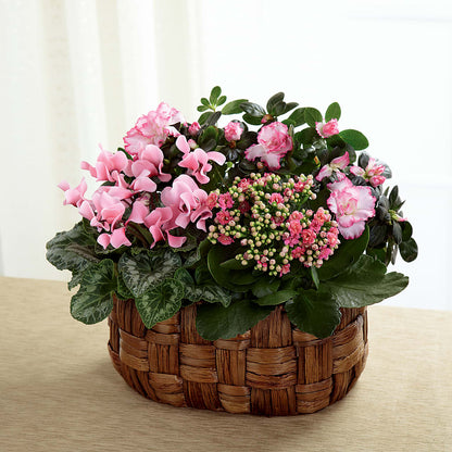 Pink Assortment – BEBE'S FLOWER SHOP, Los Angeles CA