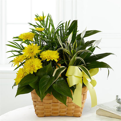 Loving Light Dishgarden – BEBE'S FLOWER SHOP, Los Angeles CA