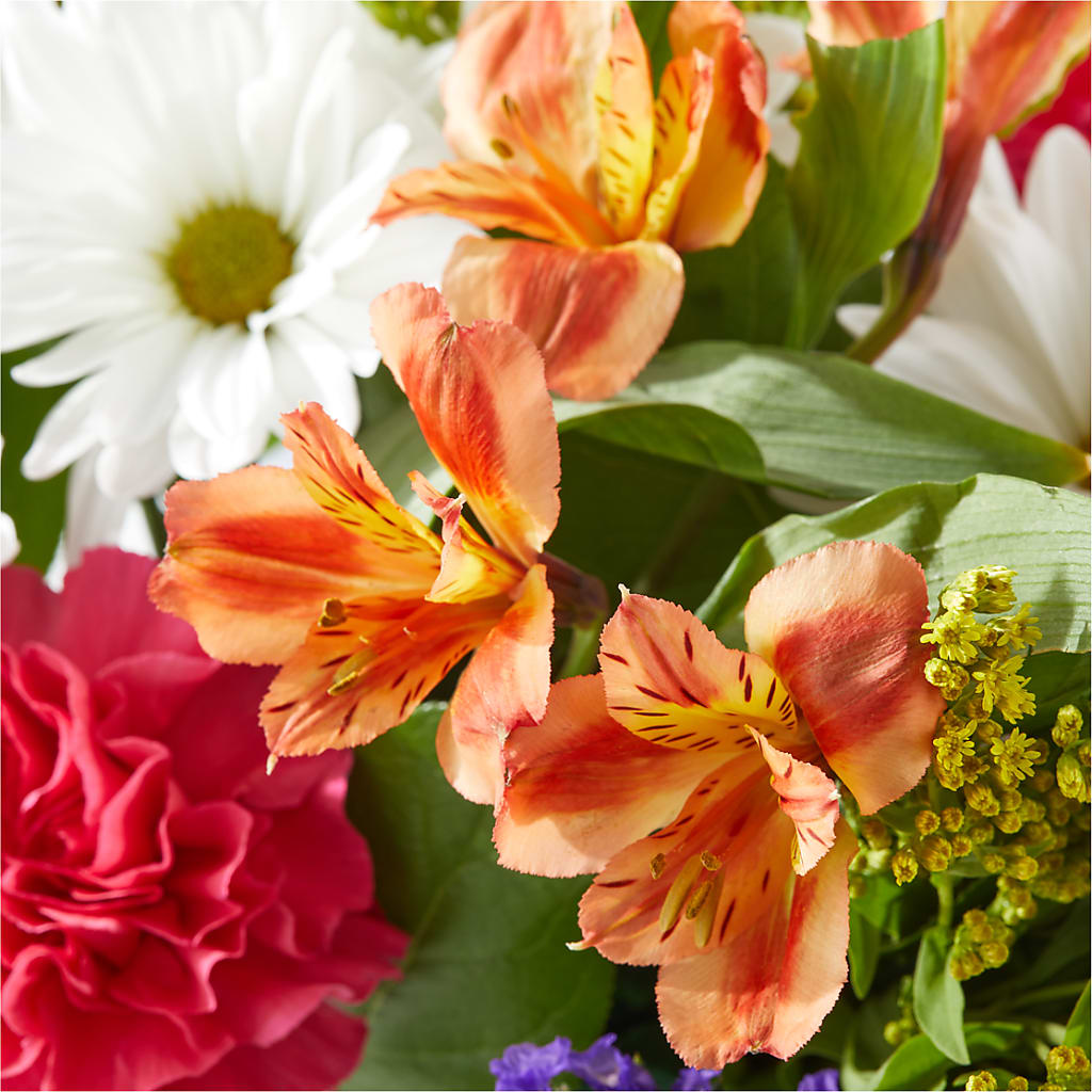 Oopsie Daisy Box Bouquet – BEBE'S FLOWER SHOP, Los Angeles CA