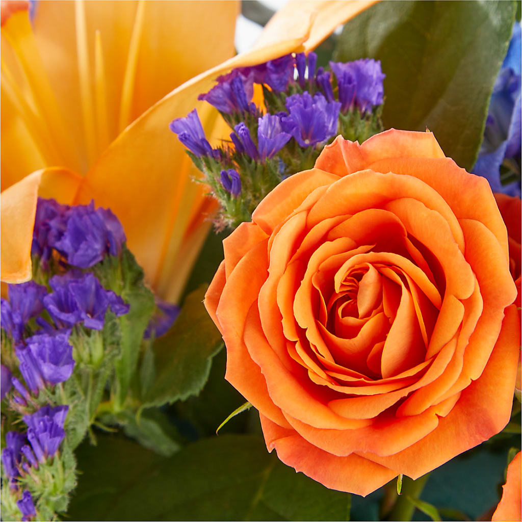 Radiant Citrus Box Bouquet – BEBE'S FLOWER SHOP, Los Angeles CA