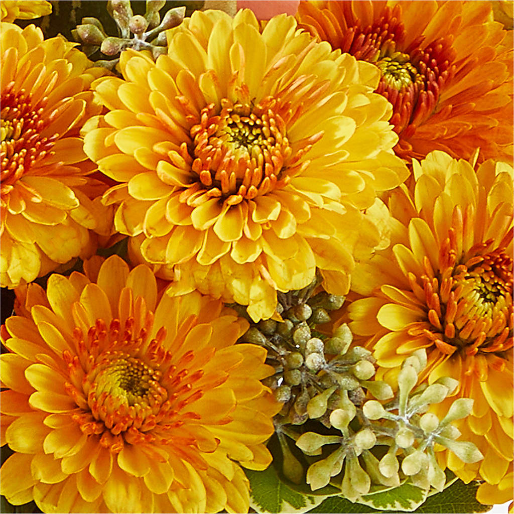 Peachy Pumpkin – BEBE'S FLOWER SHOP, Los Angeles CA