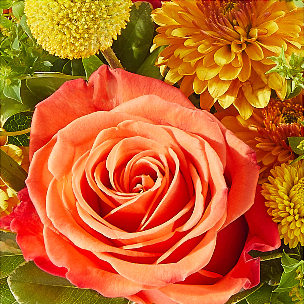 Gourdgeous Pumpkin – BEBE'S FLOWER SHOP, Los Angeles CA