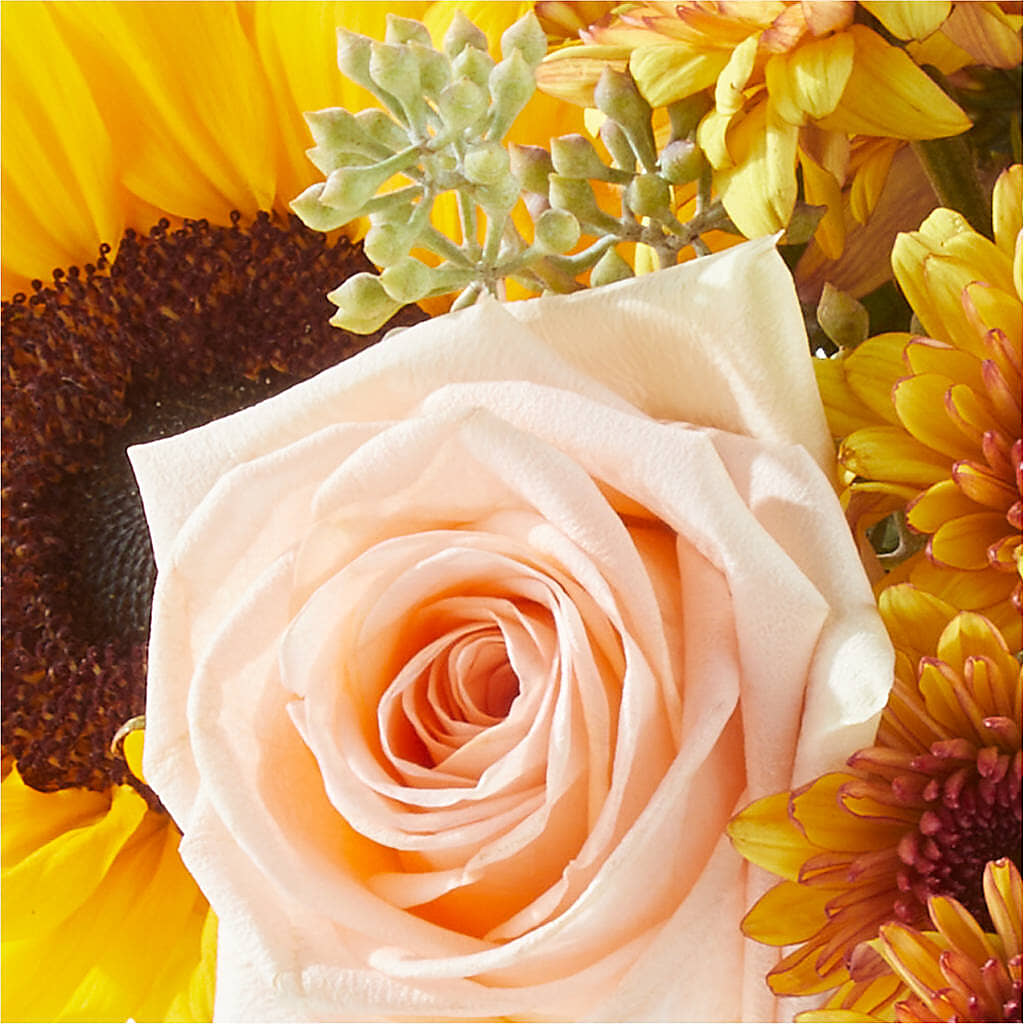 Pumpkin to Talk About Bouquet – BEBE'S FLOWER SHOP, Los Angeles CA