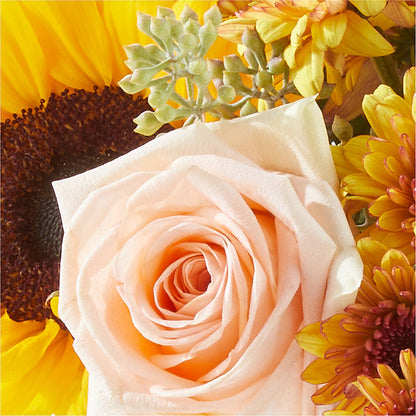 Pumpkin to Talk About Bouquet – BEBE'S FLOWER SHOP, Los Angeles CA