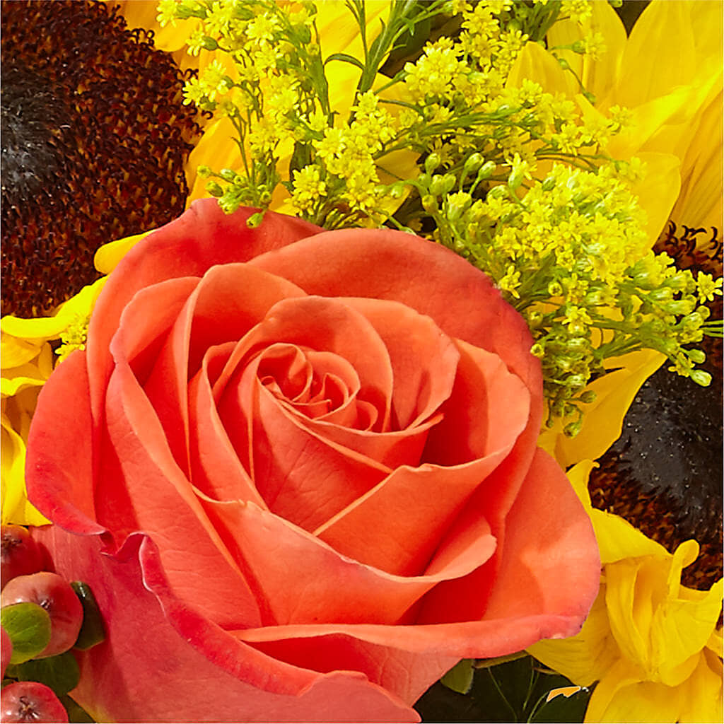 Pick of the Patch Pumpkin Bouquet – BEBE'S FLOWER SHOP, Los Angeles CA