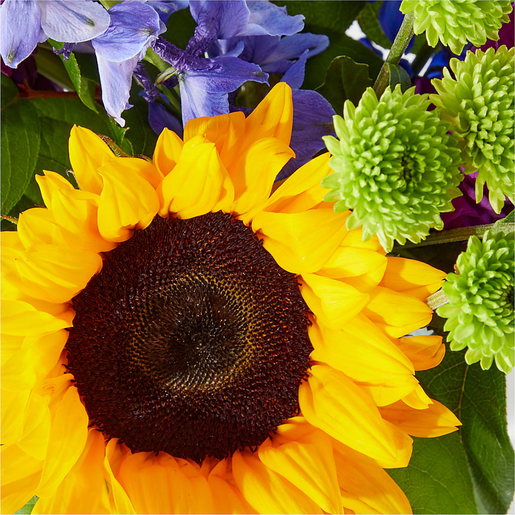 Catching Rays Bouquet – BEBE'S FLOWER SHOP, Los Angeles CA