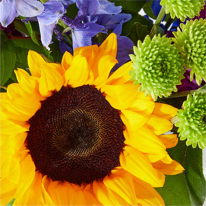 Catching Rays Bouquet – BEBE'S FLOWER SHOP, Los Angeles CA