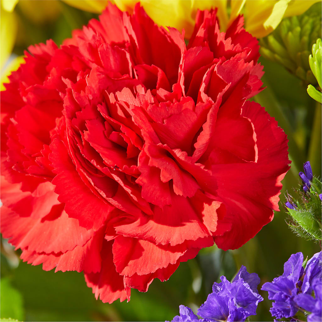 Brighter Days Bouquet – BEBE'S FLOWER SHOP, Los Angeles CA