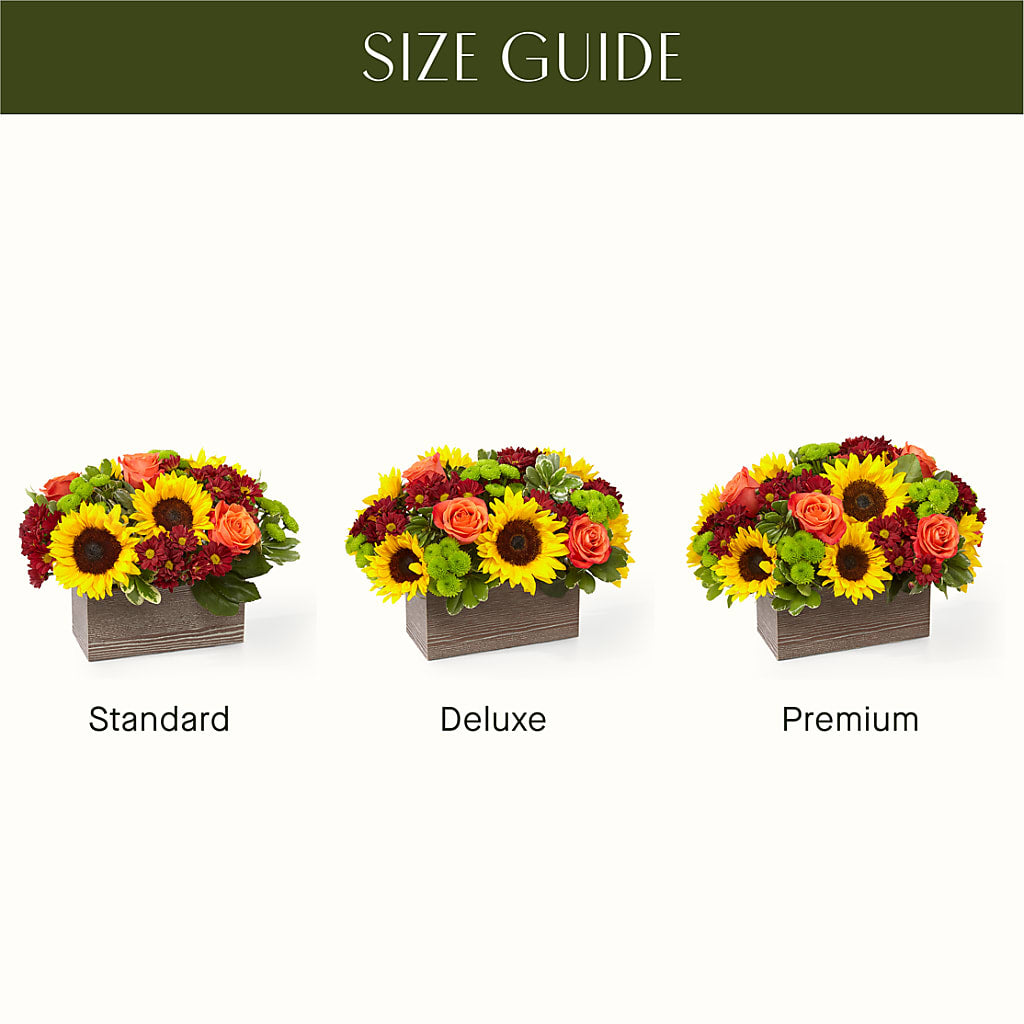 Happy Harvest Garden – BEBE'S FLOWER SHOP, Los Angeles CA