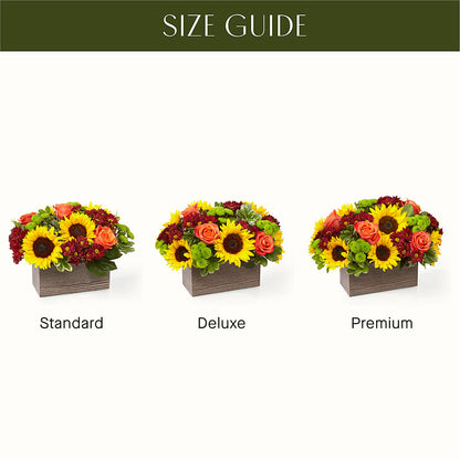 Happy Harvest Garden – BEBE'S FLOWER SHOP, Los Angeles CA