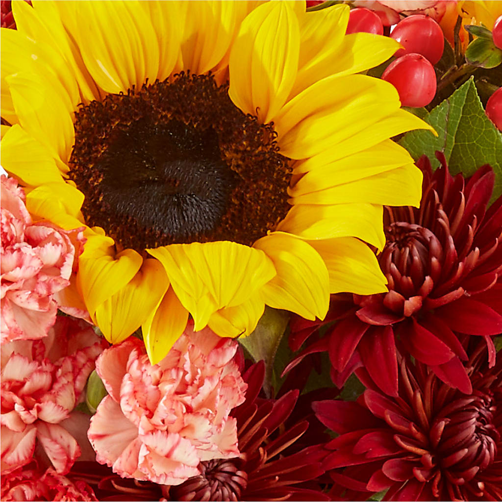 Fresh Cider Bouquet – BEBE'S FLOWER SHOP, Los Angeles CA