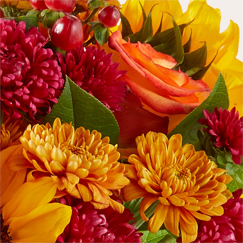 Sweater Season - A Florist Original – BEBE'S FLOWER SHOP, Los Angeles CA