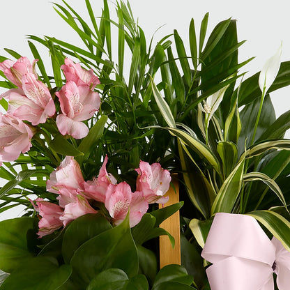 Living Spirit Dishgarden – BEBE'S FLOWER SHOP, Los Angeles CA