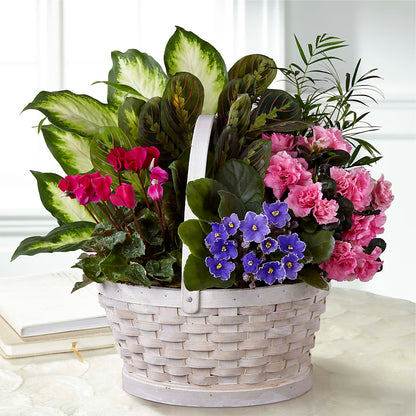 Peaceful Garden Planter – BEBE'S FLOWER SHOP, Los Angeles CA