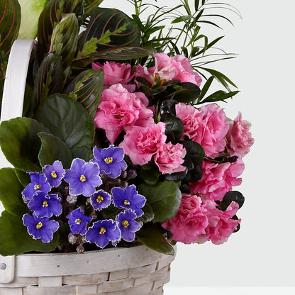 Peaceful Garden Planter – BEBE'S FLOWER SHOP, Los Angeles CA