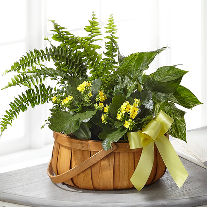 Always Dear Dishgarden – BEBE'S FLOWER SHOP, Los Angeles CA