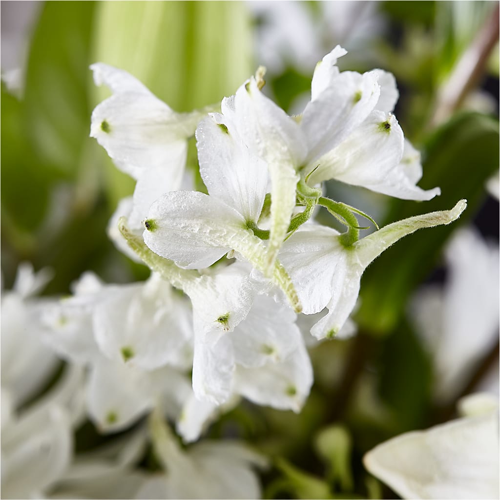 Classic Ivory – A Florist Original – BEBE'S FLOWER SHOP, Los Angeles CA