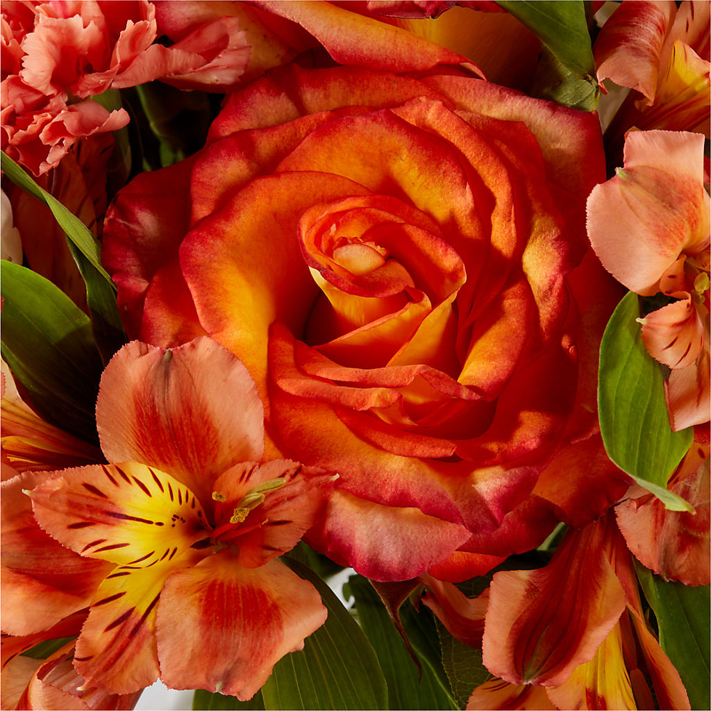 Apricot Glow Bouquet – BEBE'S FLOWER SHOP, Los Angeles CA