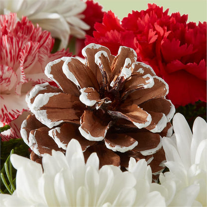 Candy Cane Lane Bouquet – BEBE'S FLOWER SHOP, Los Angeles CA