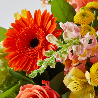 Autumn Sunshine Bouquet – BEBE'S FLOWER SHOP, Los Angeles CA