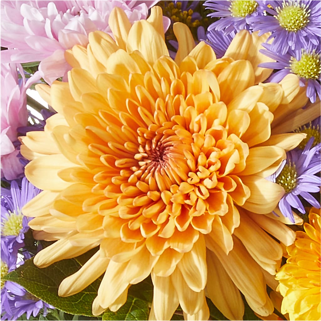 Countryside Bouquet – BEBE'S FLOWER SHOP, Los Angeles CA