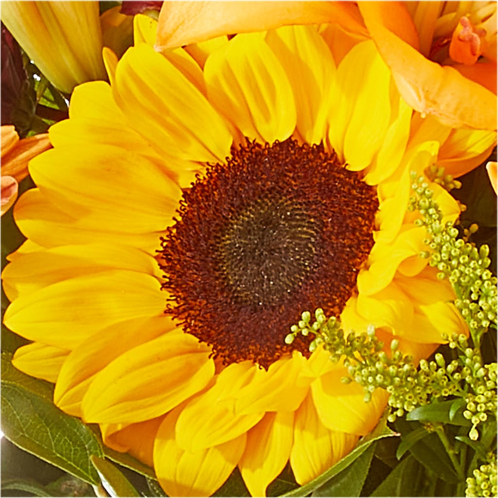 Seasons Change Bouquet – BEBE'S FLOWER SHOP, Los Angeles CA