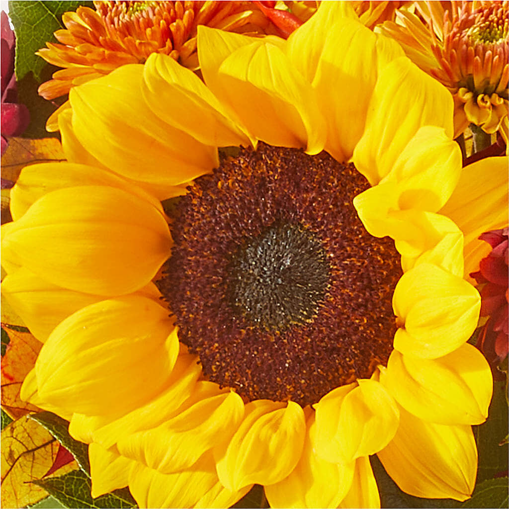 Sunny Side Bouquet – BEBE'S FLOWER SHOP, Los Angeles CA