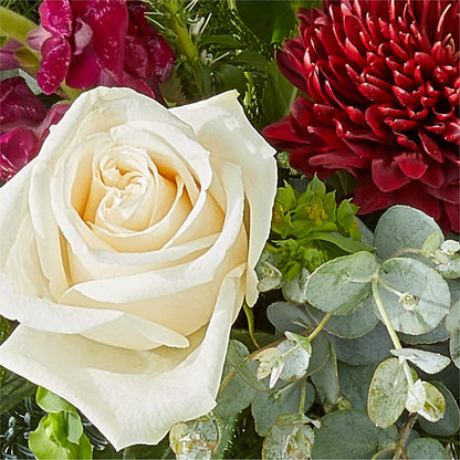 Cranberry Fizz Bouquet – BEBE'S FLOWER SHOP, Los Angeles CA