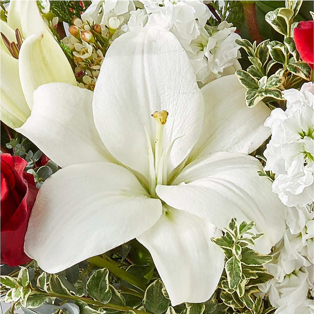 Twinkle Lights Bouquet – BEBE'S FLOWER SHOP, Los Angeles CA