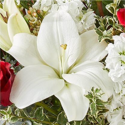 Twinkle Lights Bouquet – BEBE'S FLOWER SHOP, Los Angeles CA