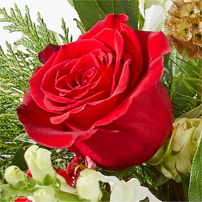 Deck the Halls Bouquet – BEBE'S FLOWER SHOP, Los Angeles CA