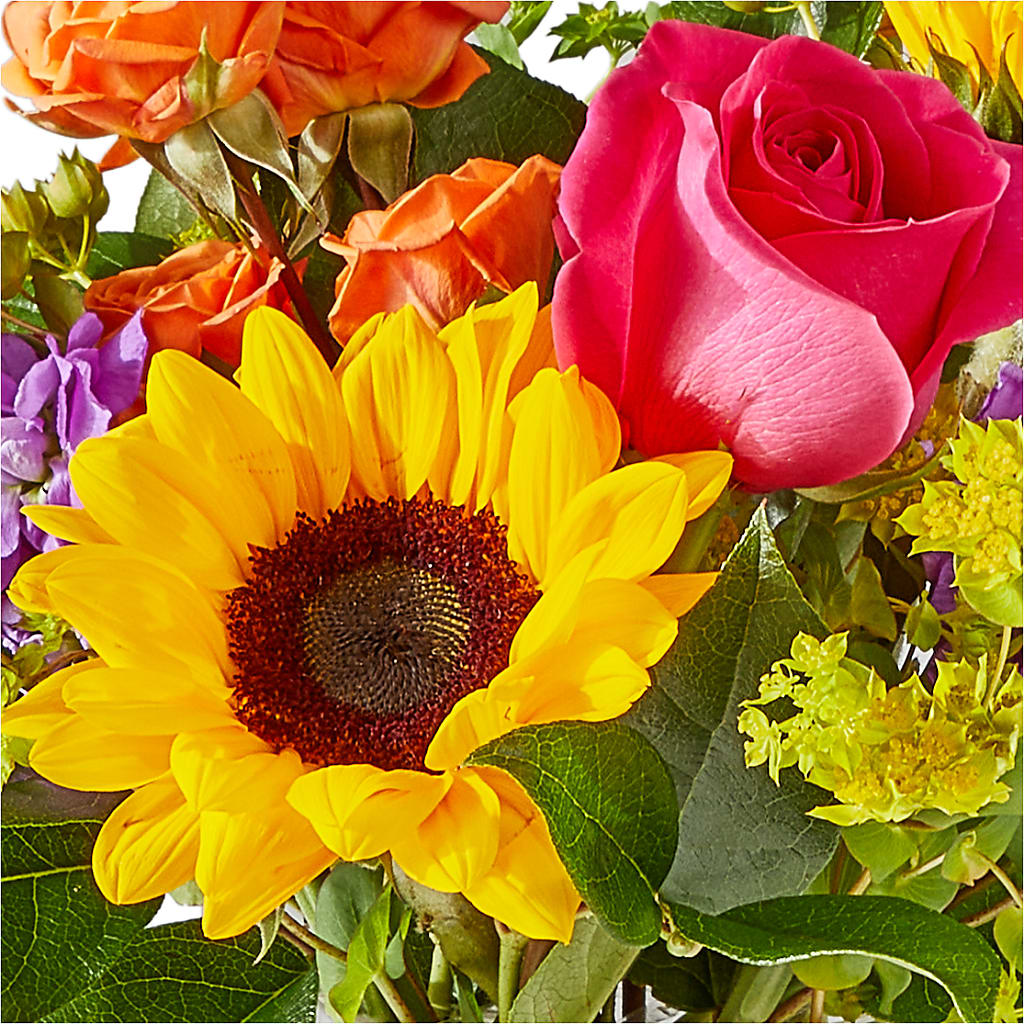 Vibrant Greetings Bouquet – BEBE'S FLOWER SHOP, Los Angeles CA