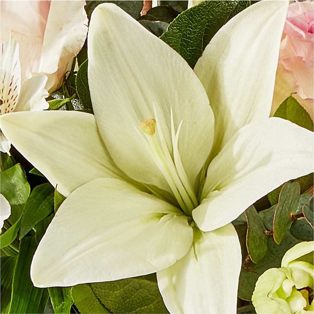 Ballet Slippers Bouquet – BEBE'S FLOWER SHOP, Los Angeles CA