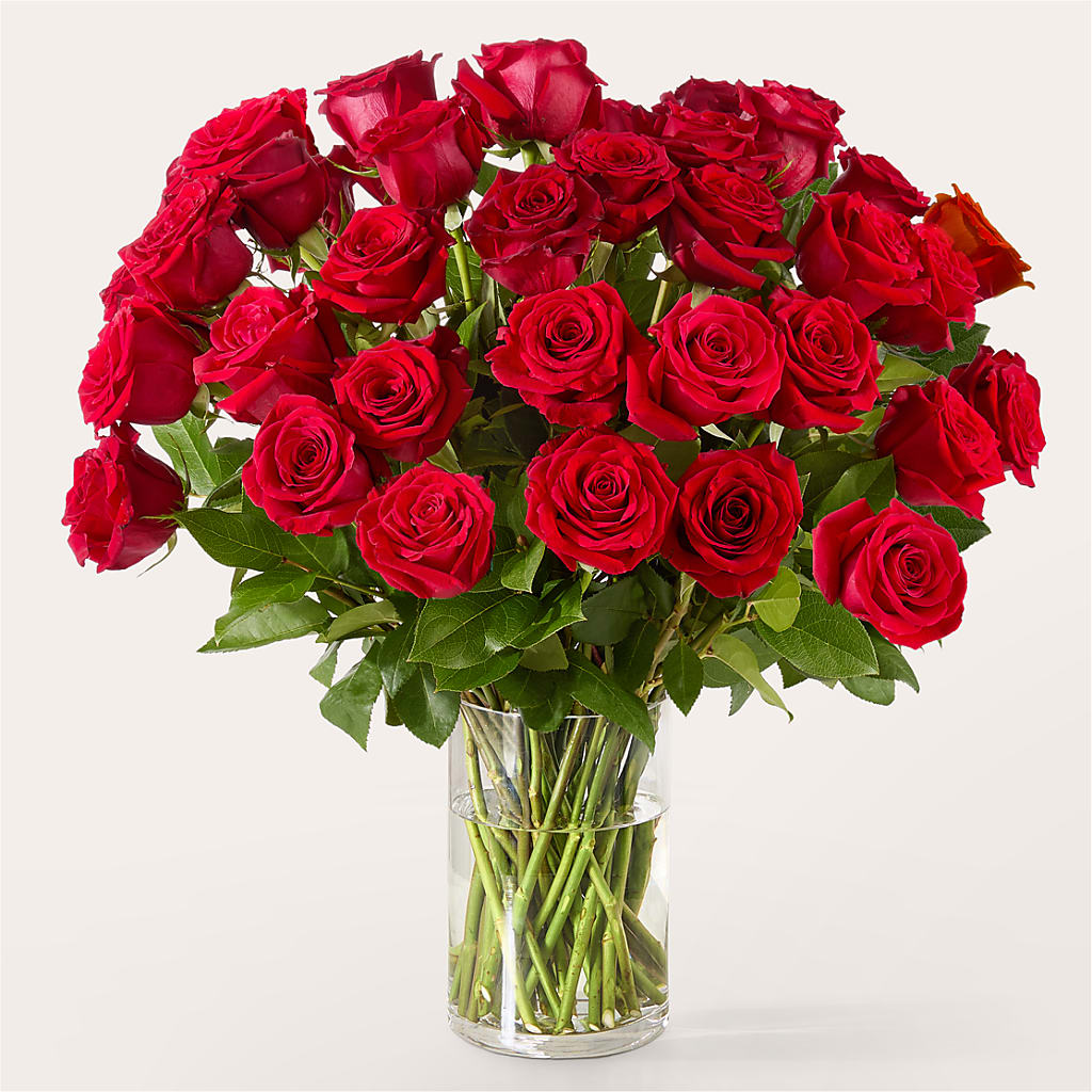 The One Red Rose Bouquet – BEBE'S FLOWER SHOP, Los Angeles CA
