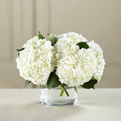 White Hydrangea Bouquet – BEBE'S FLOWER SHOP, Los Angeles CA