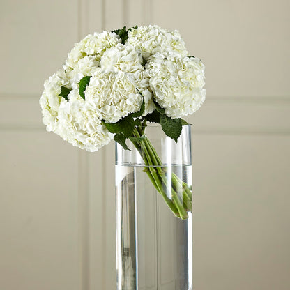 White Hydrangea Hand-Tied Bouquet – BEBE'S FLOWER SHOP, Los Angeles CA