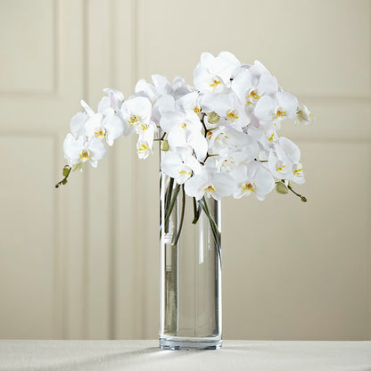 White Phalaenopsis Bouquet – BEBE'S FLOWER SHOP, Los Angeles CA